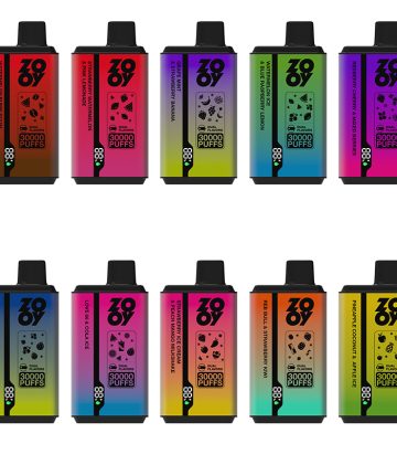 EU Disposable Vape ZOOY Twins 30000 Puffs